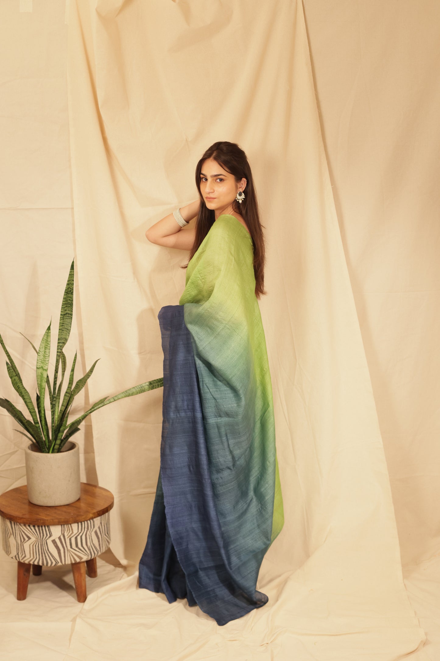 Elegant Lime Ombre Handloom Tussar Silk Saree